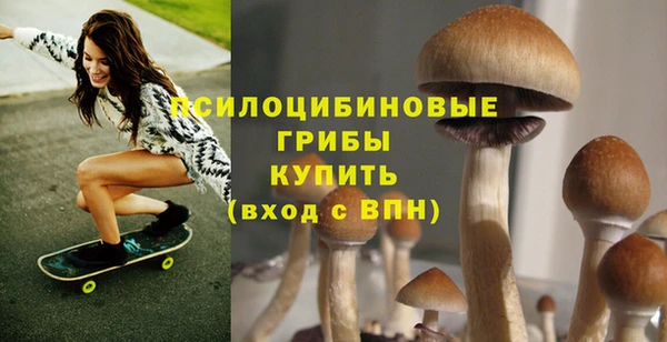 дурь Михайлов