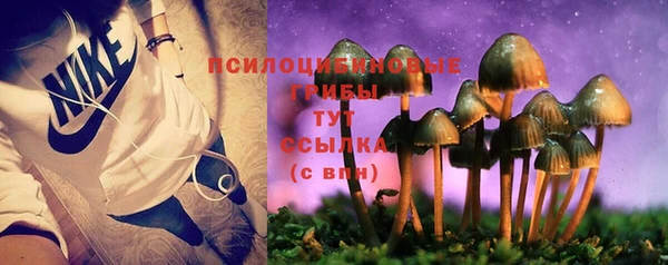 дурь Михайлов