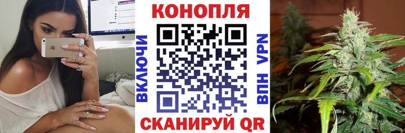Бошки Шишки сатива  Купить где  Тверь 